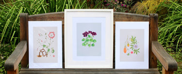 CPG Florilegium Art Prints