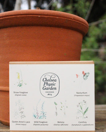 CPG Bee Garden - Seed Collection