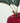 Red Devil Apple Greeting Card