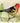 Tanager - Little Vintage (9cm x 12cm)