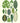 The Nation of Plants