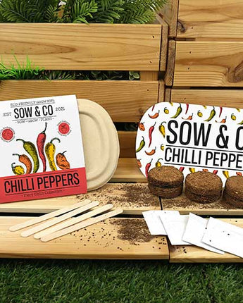 Sow and Co Chilli Pepper Grow Kit