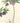 CPG Gift Tags - Pack of 6