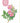 CPG Rose Soap
