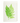 Two Ferns Notelet