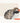 Arctic Tern Chick