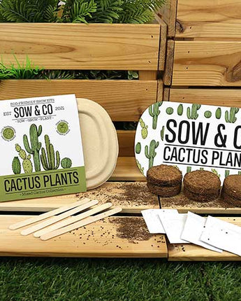 Sow and Co Cactus Grow Kit