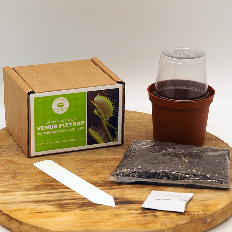 carnivorous plant seeds uk Mixed Carnivorous Plants Seed Kit – Chelsea Physic Garden Enterprises