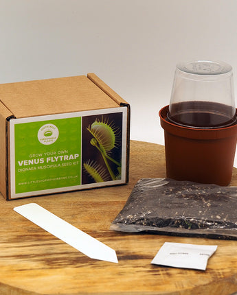 Mixed Carnivorous Plants Seed Kit