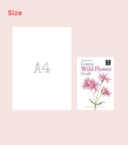 Bloomsbury Concise Wild Flower Guide