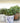 Splash Plant Pot 12x10cm