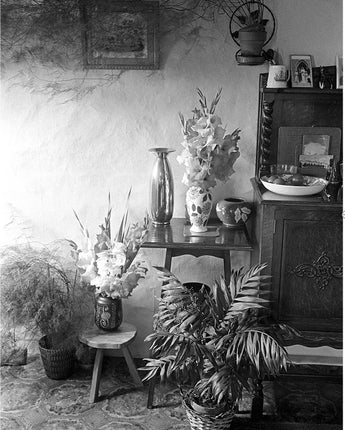 Cottage Interior - card