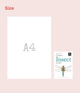 Bloomsbury Concise Insect Guide