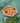 Bee Float Island