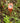 Garden Hydrometer