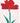 Carnation Card