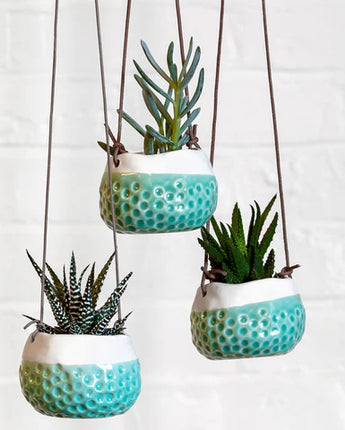 Hanging Pot - Baby Dotty