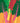 Rainbow Chard - Card