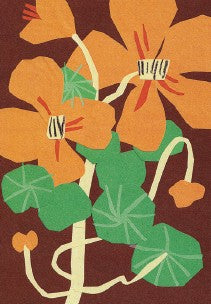 Nasturtiums Card