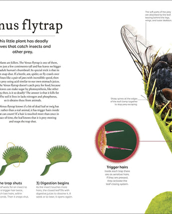 Secret World of Plants