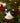 Black Cat Decoration 5cm