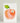 Apple and Worm Happy Birthday Card