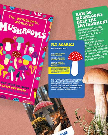 World of Mushrooms - Info cards