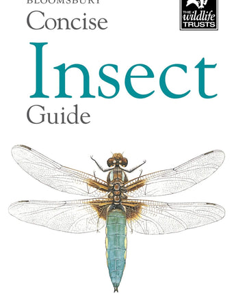 Bloomsbury Concise Insect Guide