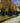 Path in the Park at Arles