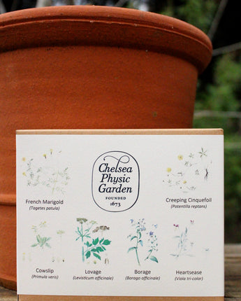 CPG Edible Garden - Seed Collection