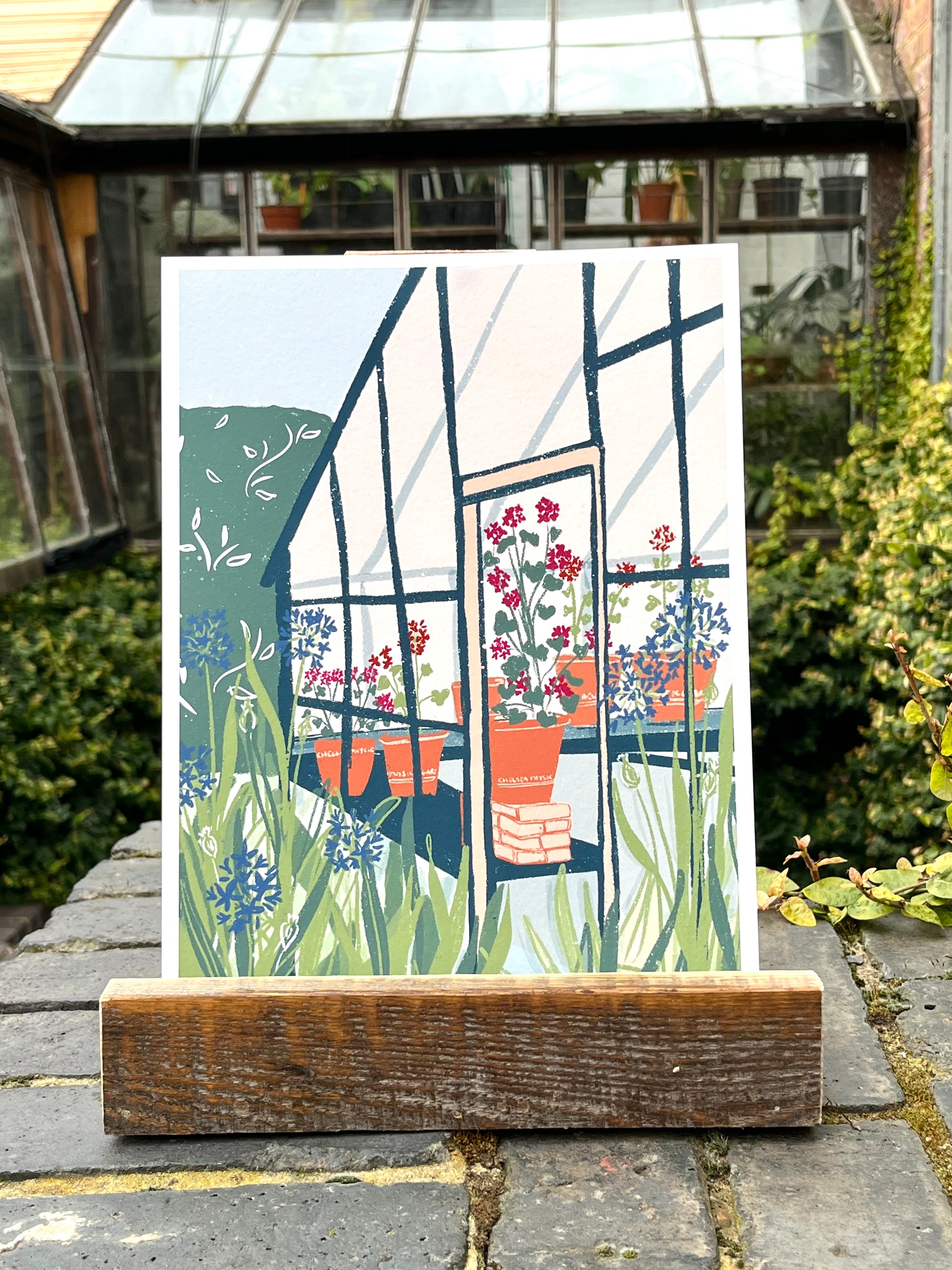 The Pelargonium Glasshouse - Holly Woodman Giclee Print -  size A3