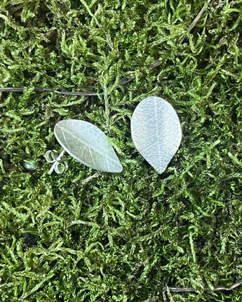 CPG Silver Leaf Long Studs