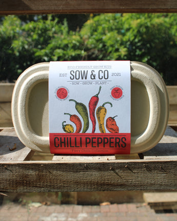 Sow and Co Chilli Pepper Grow Kit