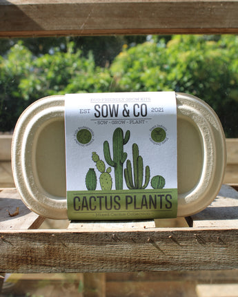 Sow and Co Cactus Grow Kit