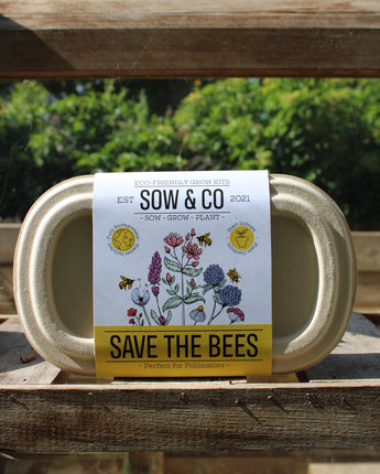 Sow and Co Save the Bees Garden Grow Kit