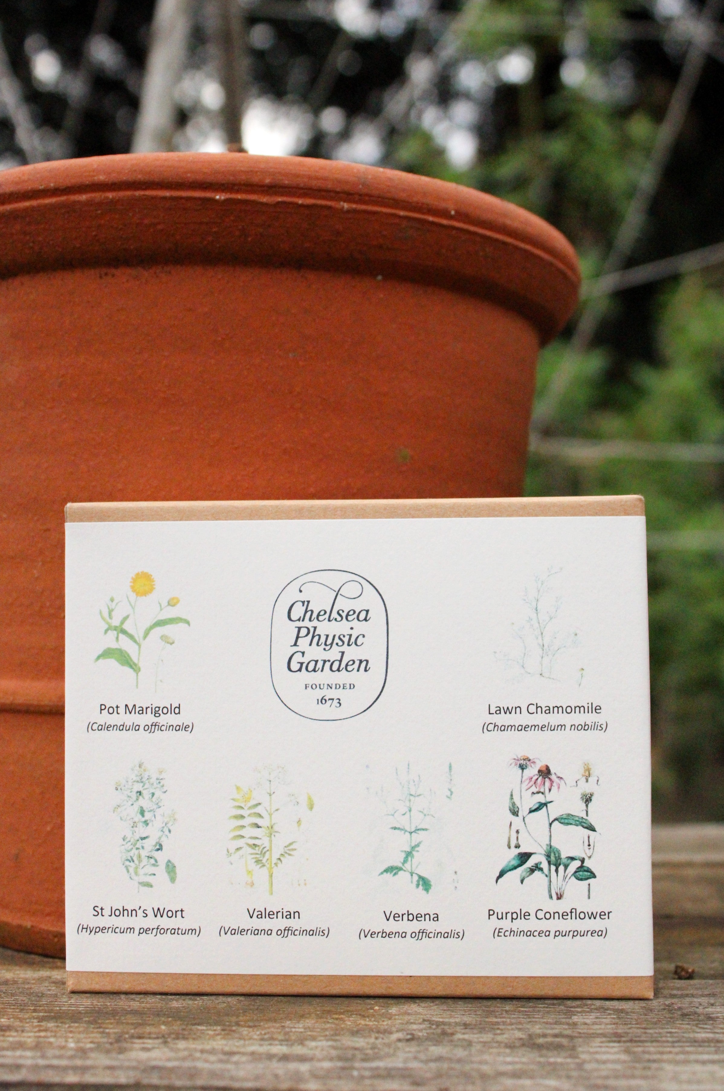 Chelsea Seeds CPG Wellness Garden - Seed Collection – Chelsea Physic Garden Enterprises