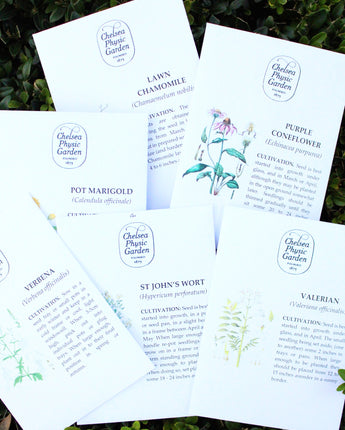 CPG Wellness Garden - Seed Collection