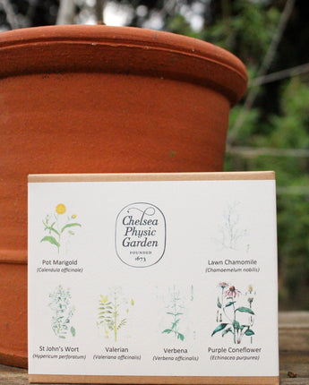 CPG Wellness Garden - Seed Collection