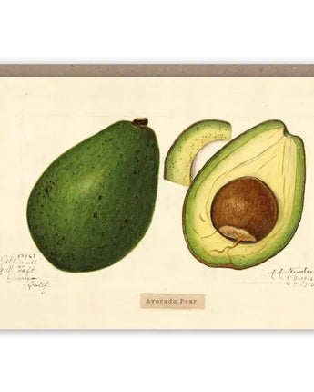 Avocado Pear Card