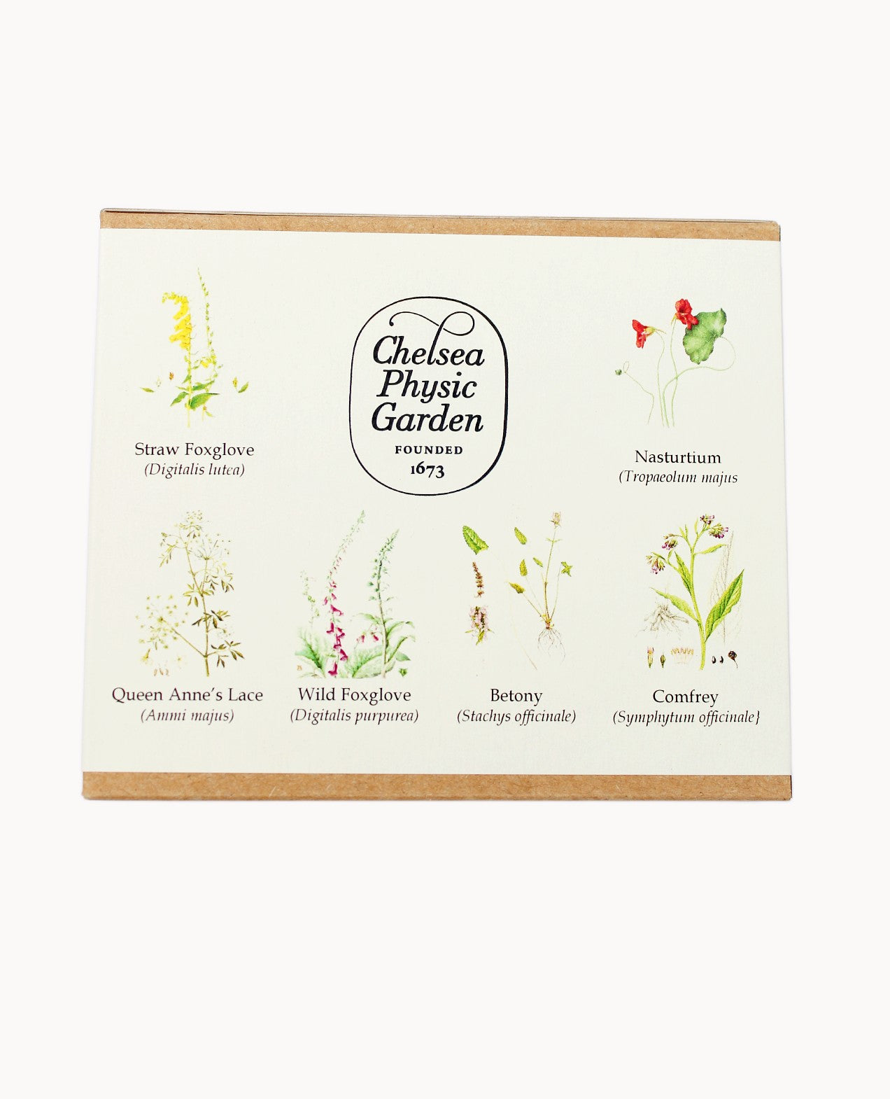 Chelsea Seeds CPG Bee Garden - Seed Collection – Chelsea Physic Garden Enterprises