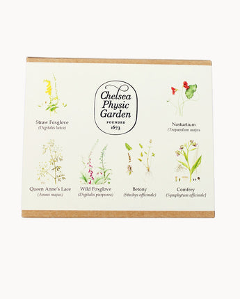 CPG Bee Garden - Seed Collection