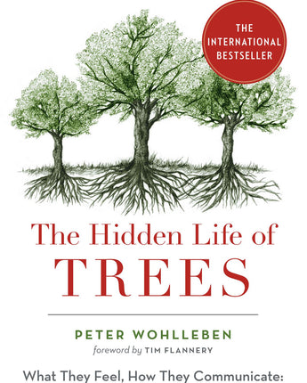 The Hidden Life of Trees