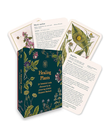 Healing Plants: 50 Botanical Cards