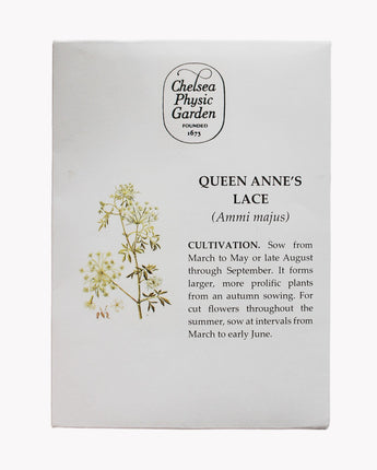 CPG Queen Anne’s Lace - Seed Packet