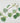 Tilia cordata - small-leaved lime