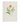 Calendula officinalis - common marigold