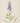 Aconitum napellus - Monkshood