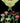 Green Moth - Botanical Card