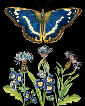 Blue Butterfly - Botanical Card