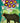 Bear and flower - Whimsical Card